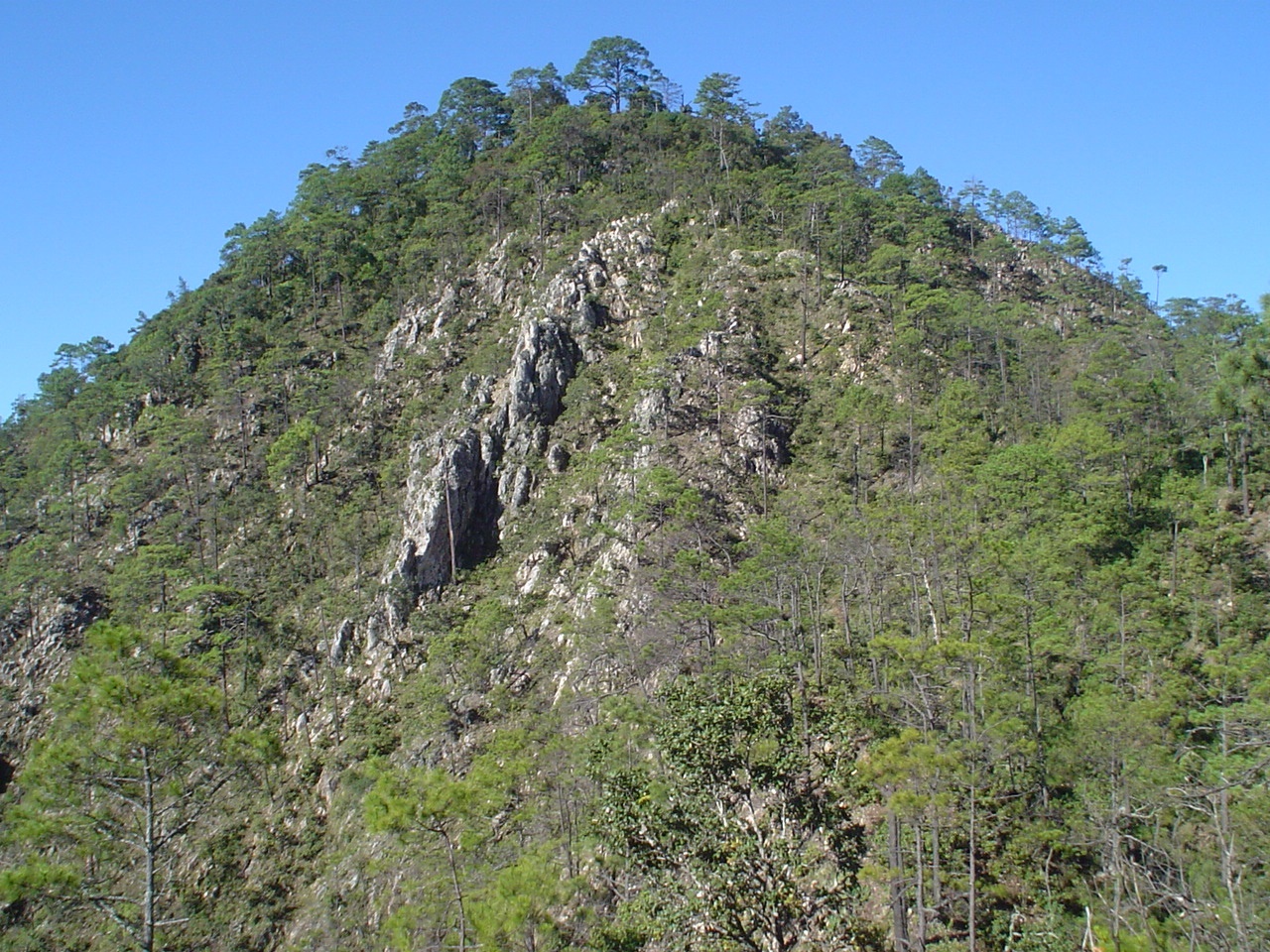 2020 Outcrop at Pena Blanca Rock outcrop at Pena Blanca